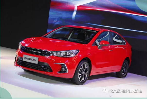 不負春光 | 最美出行季，拍檔在這里！