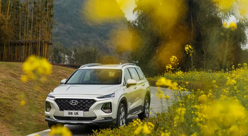 【兒童節】能為寶貝保駕護航的SUV了解一下？