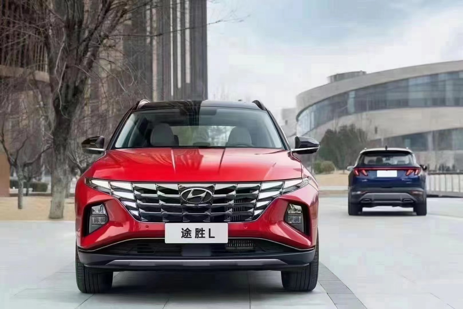 如何呵護(hù)家人，看這兒！